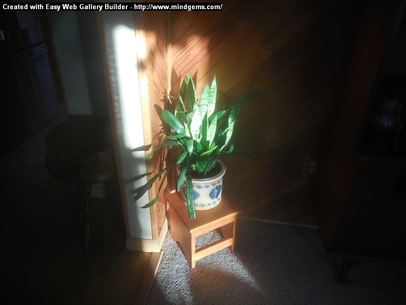 Create Movie Gallery